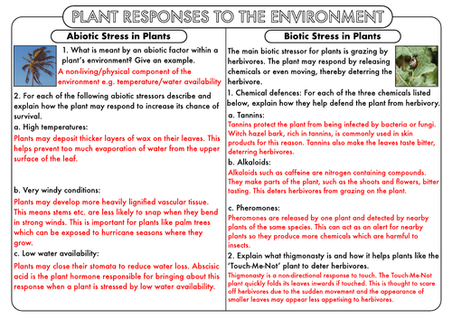 A Level Biology: Plant Responses (Plant Hormones) | Teaching Resources