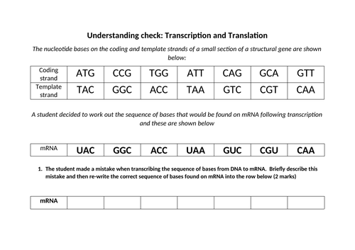 Translation (AQA A-level Biology) | Teaching Resources