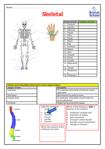 docx, 176.23 KB