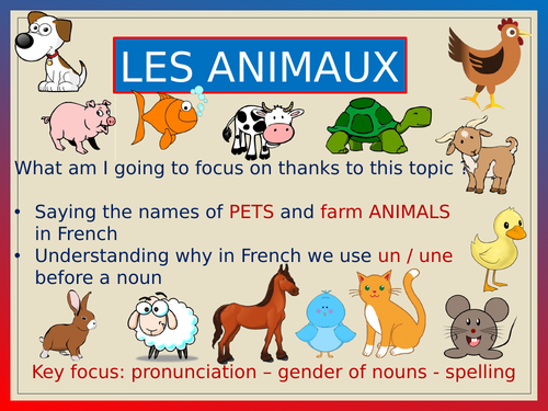 PETS AND FARM ANIMALS_vocab & pronunciation KS1-KS2 (audio included) |  Teaching Resources
