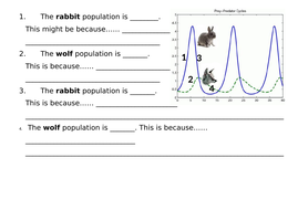 Predator Prey Cycles Worksheet & Resources | Teaching Resources