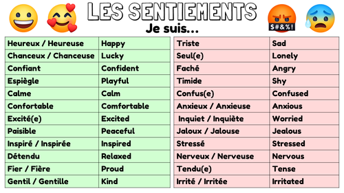 GCSE French Words and Phrases Revision Cards | Teaching Resources