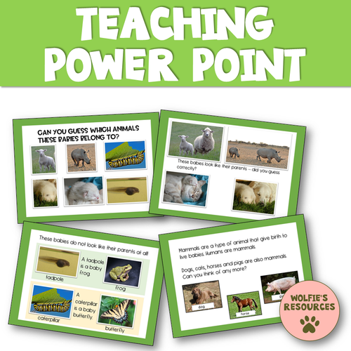 Adult and Baby Animals KS1 | Teaching Resources