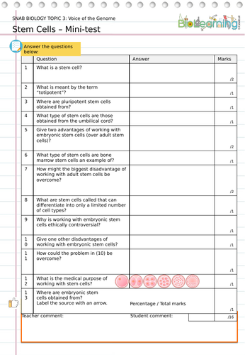 Stem Cells Mini Test Ks5 Teaching Resources