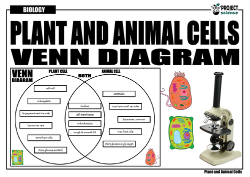 Plant And Animal Cells Venn Diagram Teaching Resources