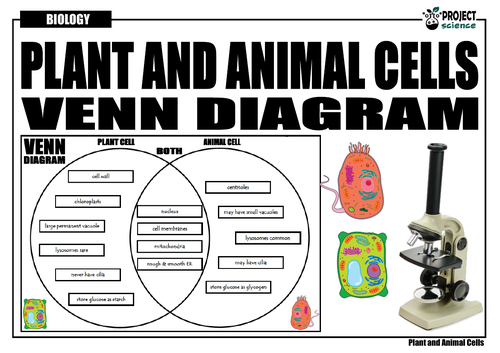 Plant and Animal Cells Venn Diagram | Teaching Resources