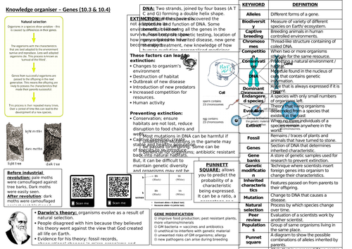 docx, 1.45 MB