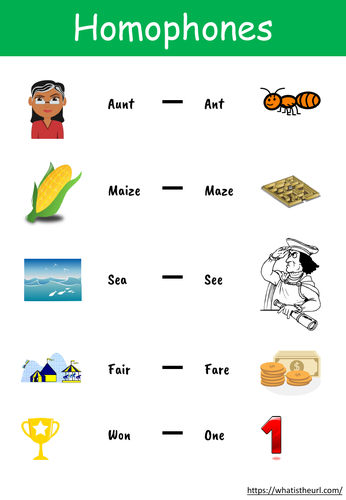 Homophones Charts 