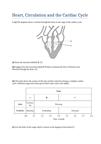 docx, 391.49 KB