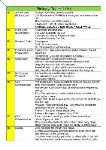 docx, 31.58 KB