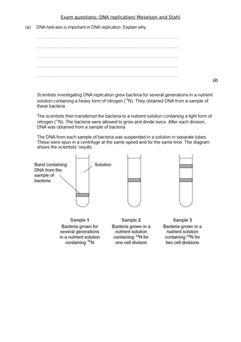 nucleic acids web assignment