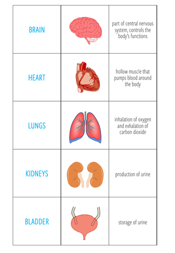 Organs - Card sort (KS3/4) | Teaching Resources