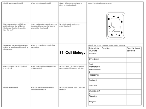 Gcse Combined Science Aqa B1 Cell Biology Revision Mat Teaching Resources 1923