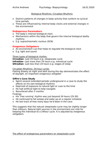AQA A-level Psychology Biopsychology Revision Notes | Teaching Resources