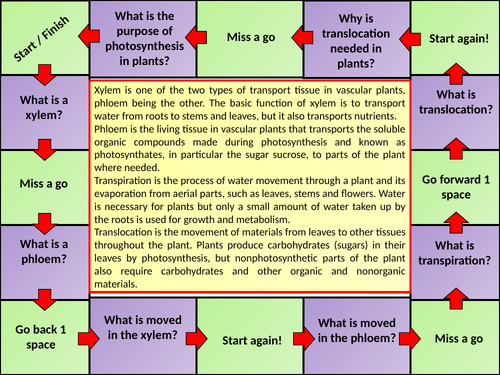 A Level Biology Translocation in Plants Lesson & Activities | Teaching ...