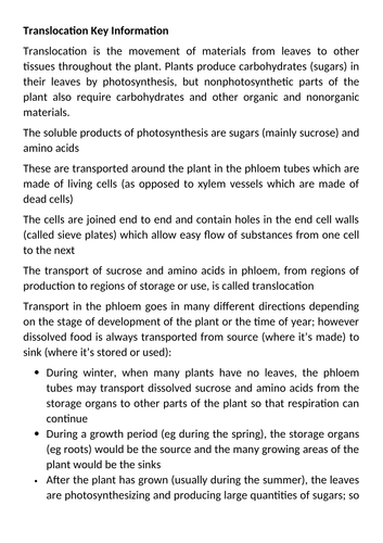 A Level Biology Translocation in Plants Lesson & Activities | Teaching ...