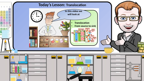 A Level Biology Translocation in Plants Lesson & Activities | Teaching ...