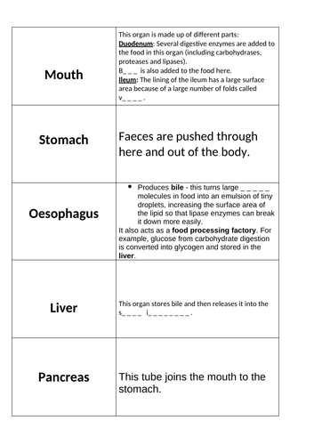 Digestive System Matching Activity Teaching Resources 8001