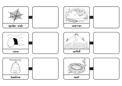 Animals shelter booklet | Teaching Resources