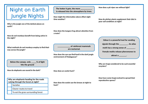 Night on Earth: Jungle Nights | Teaching Resources