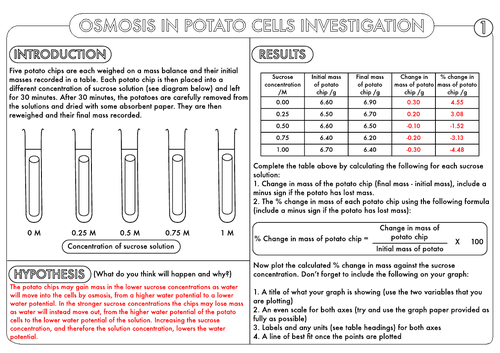 GCSE Biology: Osmosis Investigation | Teaching Resources