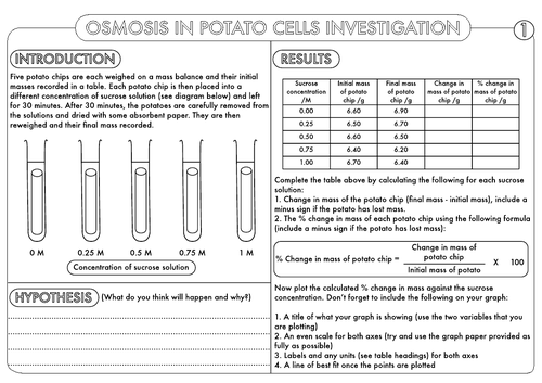 osmosis in potato chips