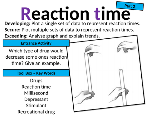 Exploring Science 7C Muscles and Bones (Half topic) | Teaching Resources