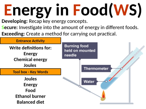 Exploring Science 7I Energy