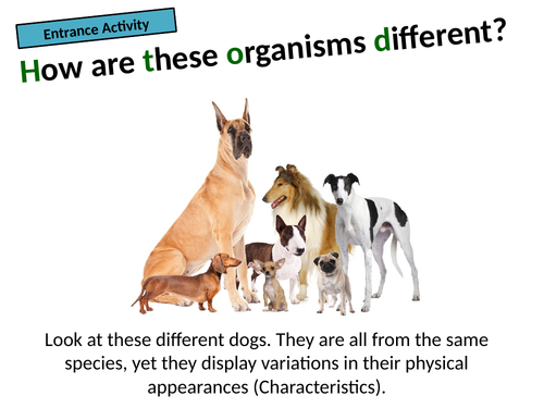 Exploring Science 9A Genetics and evolution | Teaching Resources