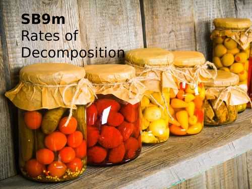 Edexcel SB9m Rates of Decomposition