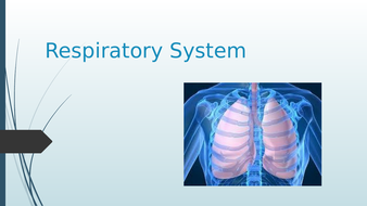 BTEC Sport Level 3 Respiratory System Teaching Pack | Teaching Resources