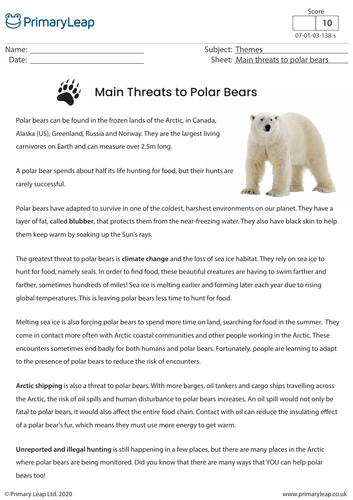 Reading Comprehension - What threats are polar bears facing? | Teaching ...