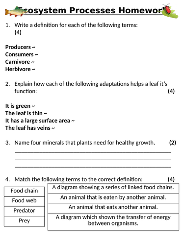 KS3 ~ Year 8 ~ Ecosystem Processes