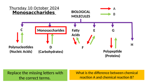 1.2 Monosaccharides