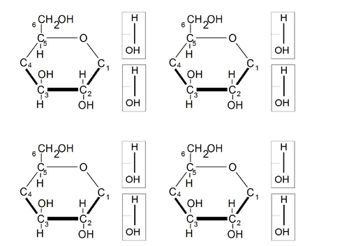 1.3  Disaccharides & Polysaccharides