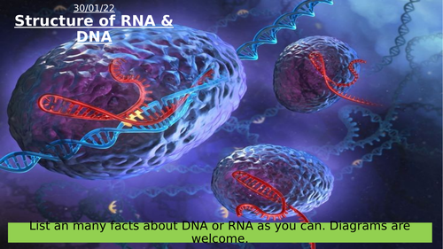 2.1 Structure of RNA & DNA