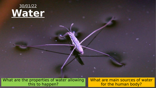 2.4 Water & Its Functions