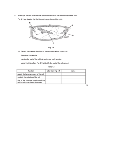 docx, 218.72 KB