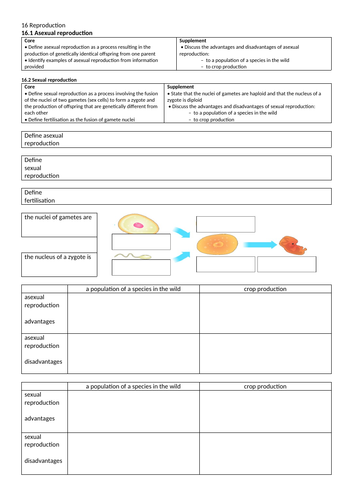 Revision workbook for Reproduction - Cambridge IGCSE Biology 0610 ...