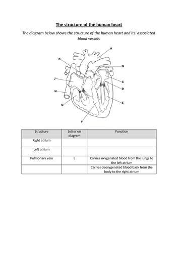 docx, 183.47 KB