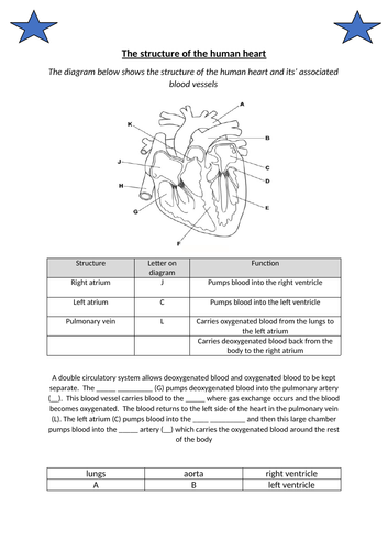 docx, 188.21 KB