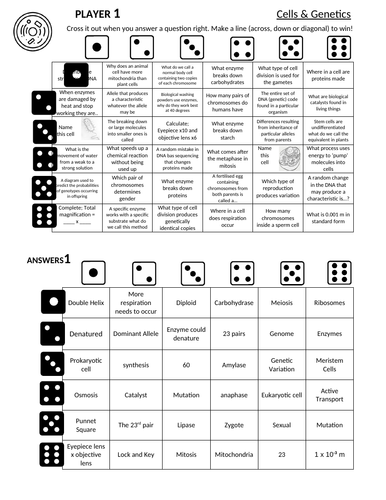 docx, 198.41 KB