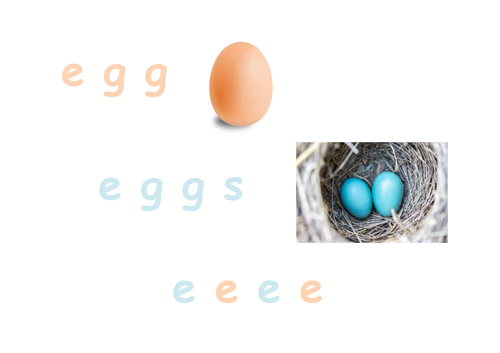 Phonics - e for egg Writing Sheet + pic card