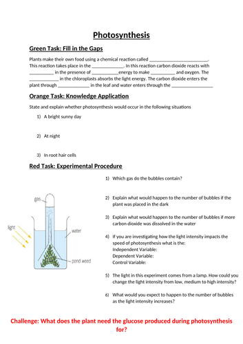 grade 6 natural science worksheets photosynthesis