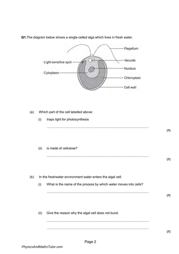 New (9-1) AQA GCSE Biology B8 Photosynthesis complete Revision Summary ...