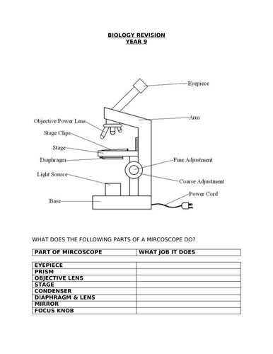 Year 9 Biology Revision | Teaching Resources