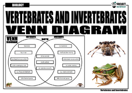 Vertebrates and Invertebrates Venn Diagram | Teaching Resources