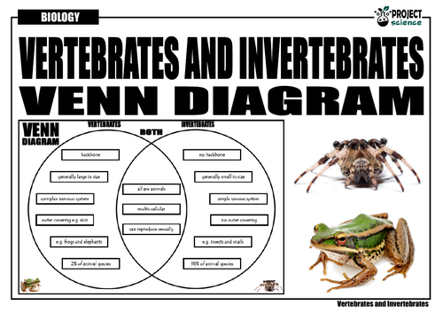 difference between vertebrates and invertebrates
