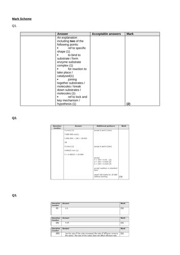 docx, 6.25 MB