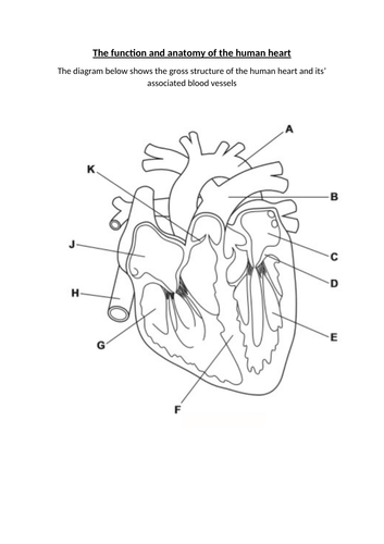 DOC, 184.4 KB